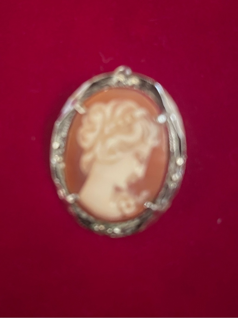 Vintage Cameo Brooch with Silver Trim